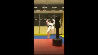 Удар торнадо в тхэквондо/tornado kick