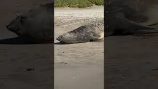 Не время умирать. Ползи …