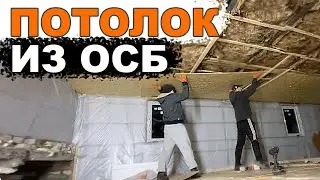Потолок из ОСБ. Находка в советских дверях. Бус погас на трассе. Купили двери и шкаф.