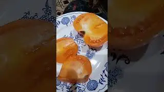 Томат Апельсин