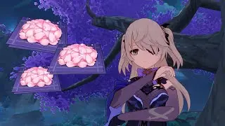 Genshin Impact Sakura Blooms lul