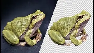 Photoshop cc 2019 : How To Cut Image - Remove & Delete a Background in Urdu/Hindi  | SychoFix