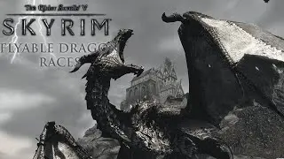 Weekly Skyrim Mods: Flyable Dragon Races