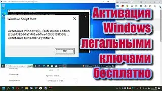 Лицензионный ключ Виндовс бесплатно | Как активировать Windows