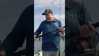Product Breakdown - TT Aruna Offshore Fishing Rods. #fishing #offshorefishing #shorts #snapper #fish