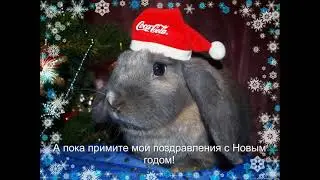 С Новым годом!