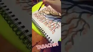 Pintando un Tabachín 