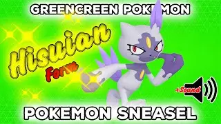 Pokemon Sneasel Hisuian | GreenScreen | Pokémon GO | 👍POGOTUBE✅✨