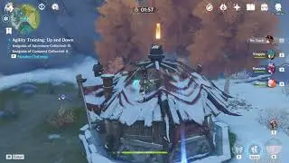 Genshin Impact Agility training day 2