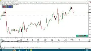 Live Trade menggunakan Tools Hedge Asistant