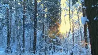 "Снег идёт" стихи Б.Пастернак, муз.С.Никитин