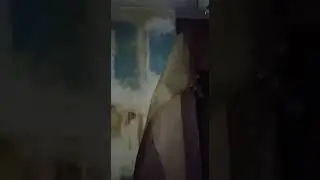 Начало капремона