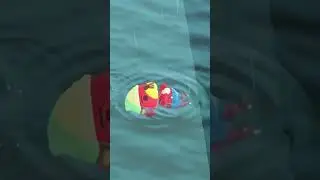 Where does Pascal go when he swims away?