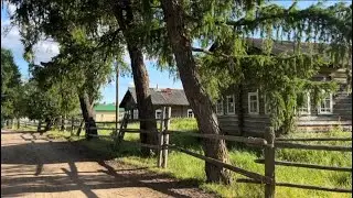 Деревня в глубинке среди лесов, куда едут туристы со всей России/ Уникальная деревня Мошъюга