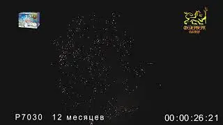 салют 12 месяцев / 51 залп