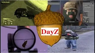DayZ in a Nutshell (Bugs, glitches, fails, etc)