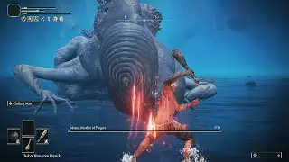Elden Ring SotE - Lvl1 Wretch VS Metyr, Mother of Fingers [ No Damage, Solo ]
