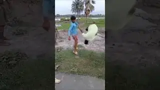#shortvideo