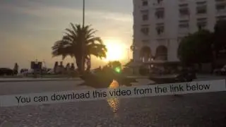 Flock of pigeons eating on city street at sunset