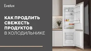 Как правильно выбрать холодильник. Как продлить свежесть продуктов в холодильнике.