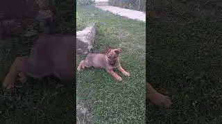 Узнаете