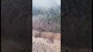 Казахстан. Сибинские озера - чистейшая вода, ни одна река не впадает и не вытекает, вода грунтовая.