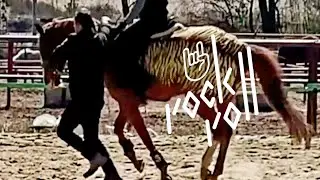 Танцы с лошадью