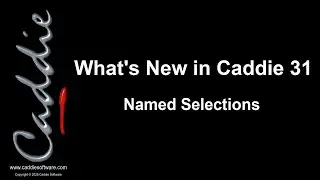 Named Selections