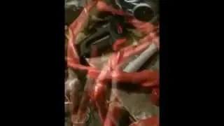 How To; intestines