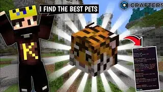 BEST PETS FOR BEGINNERS IN CRAFTERSMC #craftersmc #hypixel #fakepixelskyblock