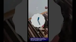 Android 13 Easter Egg