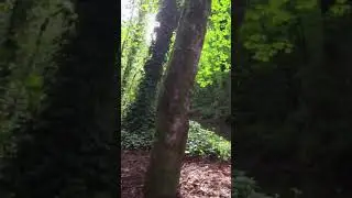 As above, so below 