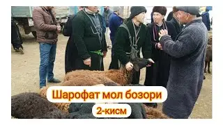 #Сешанба_мол_бозори