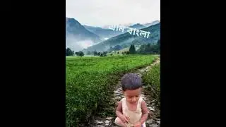 আমার গ্রাম বাংলা