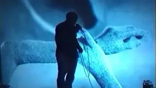Tool Live 2001 Hartford [Full Concert DVD] HQ