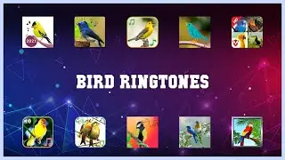 Super 10 Bird Ringtones Android Apps