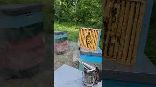 Скоро вторая качка в сезоне 2023. 