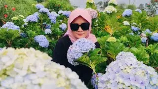 Happy farm Ciwidey Bandung Tiket dan Fasilitas