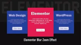 Create Blur Zoom Hover Effect With Elementor | Elementor Card Hover Effect | Elementor Tricks