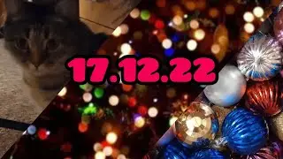 НОВОГОДНИЙ VLOG. ПОСТАВИЛА ЁЛКУ 🎄