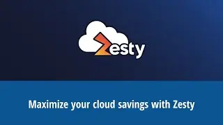 Maximize your cloud savings with Zesty