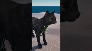 I Made the Cat Typing Meme in Fortnite!