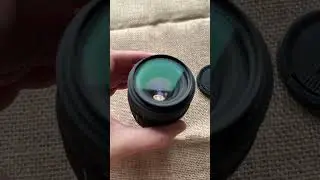 Sigma 50mm F/2.8 EX Macro