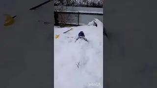 анонимусы вперёд