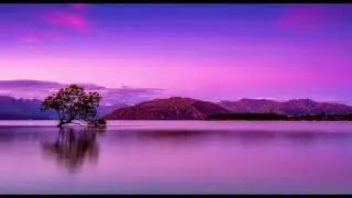 Terrier Waltz   Nat Keefe with The Bow Ties- No Copyright Music - Free Music -Nhạc miễn phí Youtuber