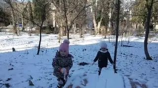 Наш первый снег в этом году...