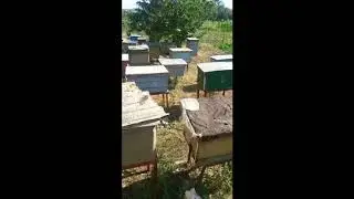 Голубовское обстрел 21 07 2020