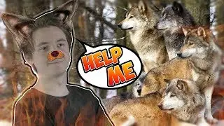 Mendokusaii - HUNGRY LIKE THE WOLF