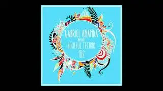 Gabriel Ananda Presents Soulful techno 102 (copyright Edited)