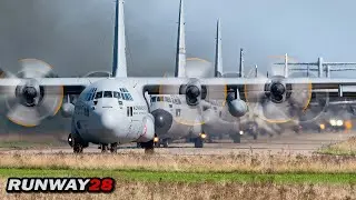 Impressive Elephant Walk With Transport Planes